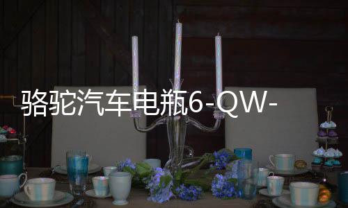 骆驼汽车电瓶6-QW-45适配雅阁本田CRV锋范杰德缤智12V45AH蓄电池